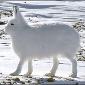 Meet your Posher, Rui